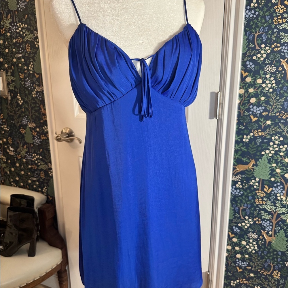 Naked Zebra Royal Blue Dress​